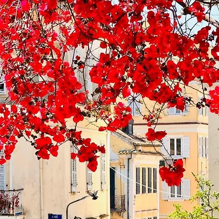 Apartman Maria 1